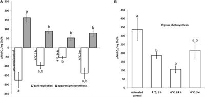 Cell Wall Reinforcements Accompany Chilling and Freezing Stress in the Streptophyte Green Alga Klebsormidium crenulatum